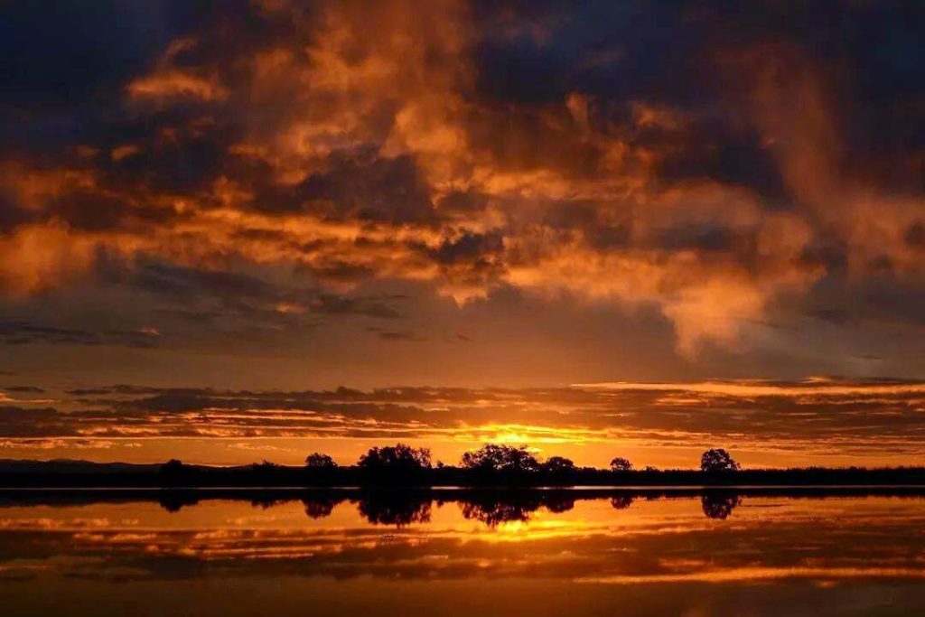 SUTTER COUNTY LIQUOR LICENSE California Liquor License